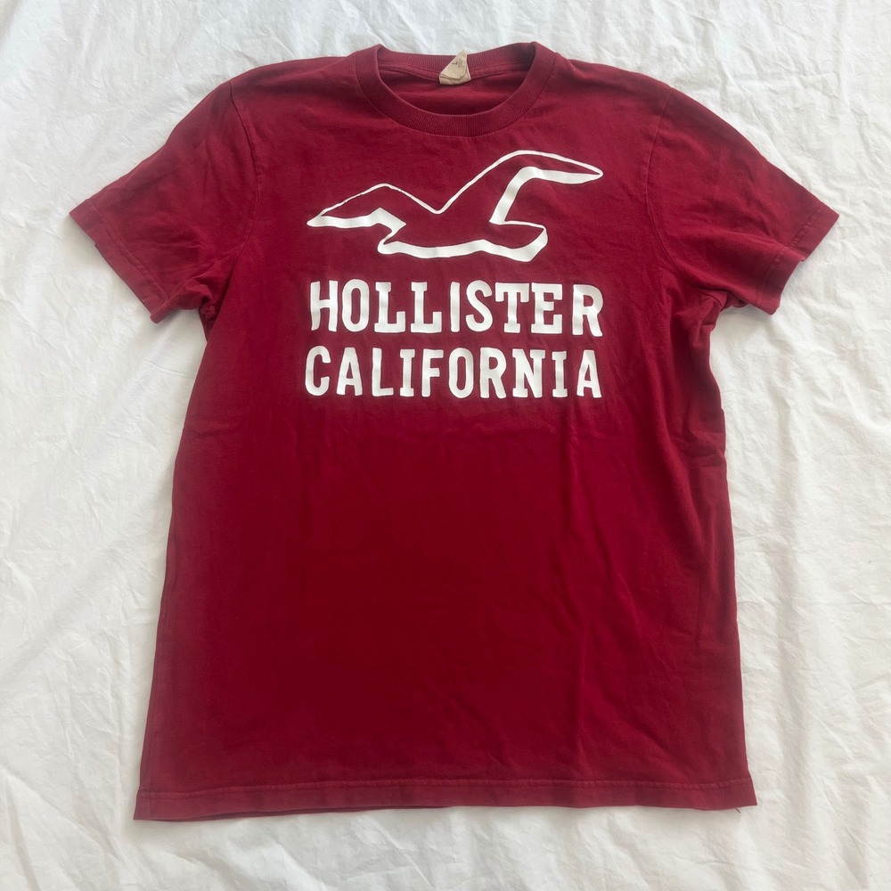 vintage hollister graphic short sleeve tee